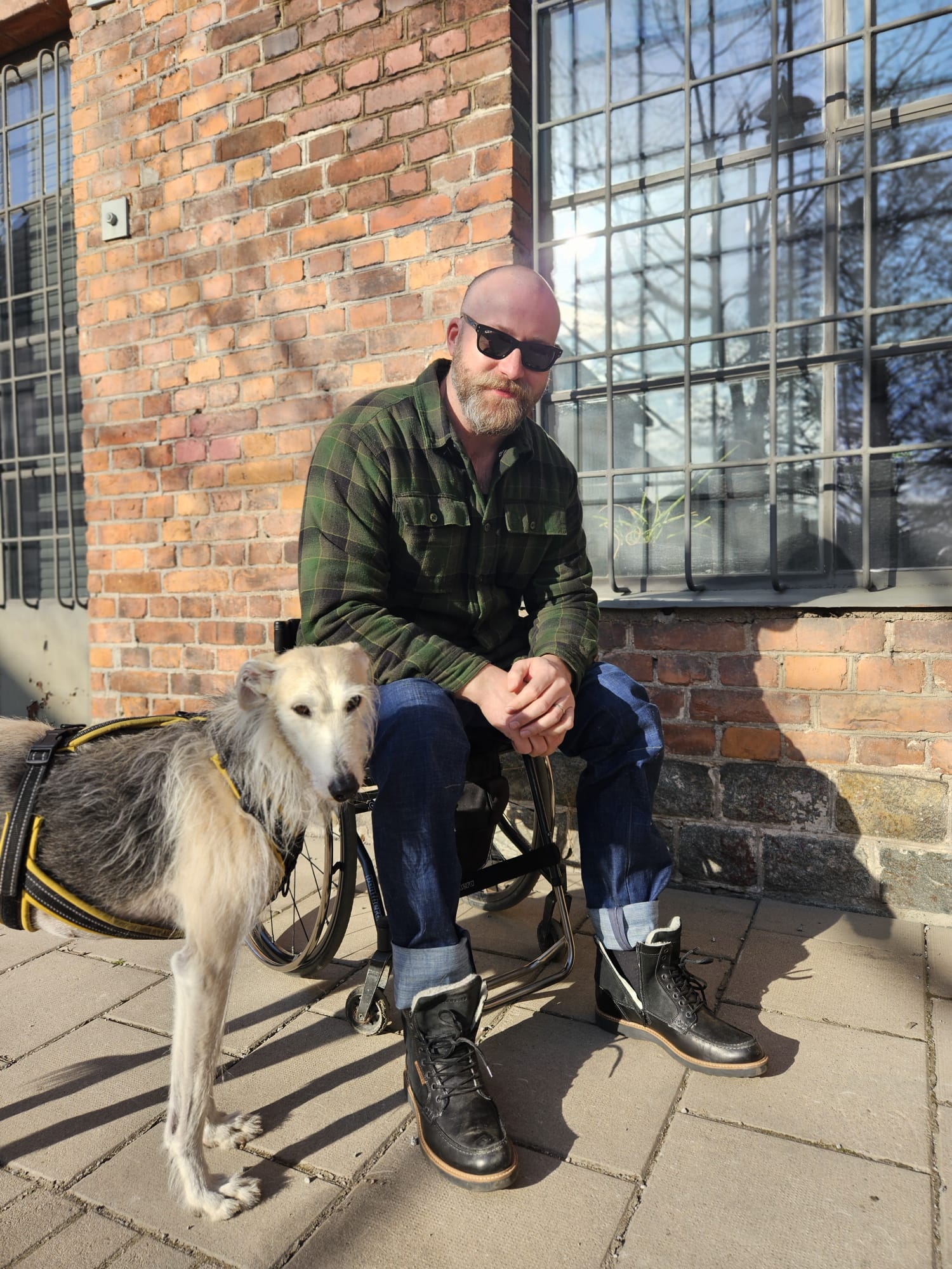 Sebastian Forsen Hunden