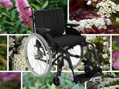 Illustration av REA Spirea Illustration av REA Spirea