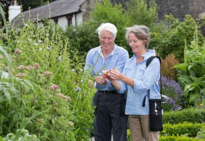 Oxygenmätare och tillbehör