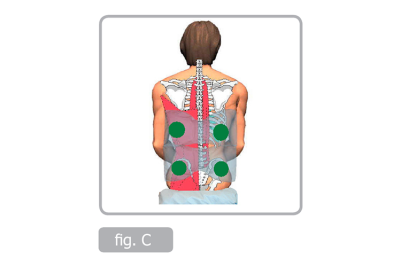 Stabil sittposition, fig C