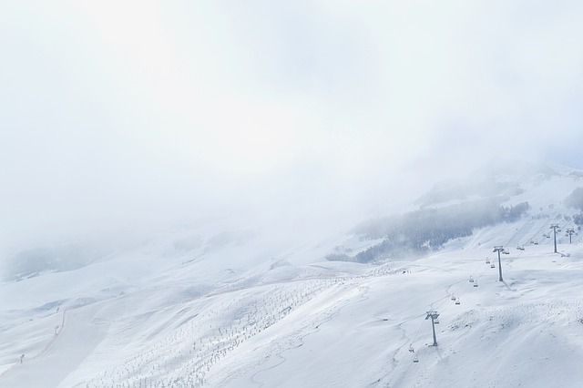 Sitski, monoski och skidåkning